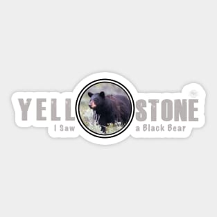 I Saw a Black Bear, Yellowstone National Park Sticker